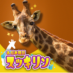 スッキリン